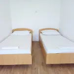 Trim And 3* Lovište